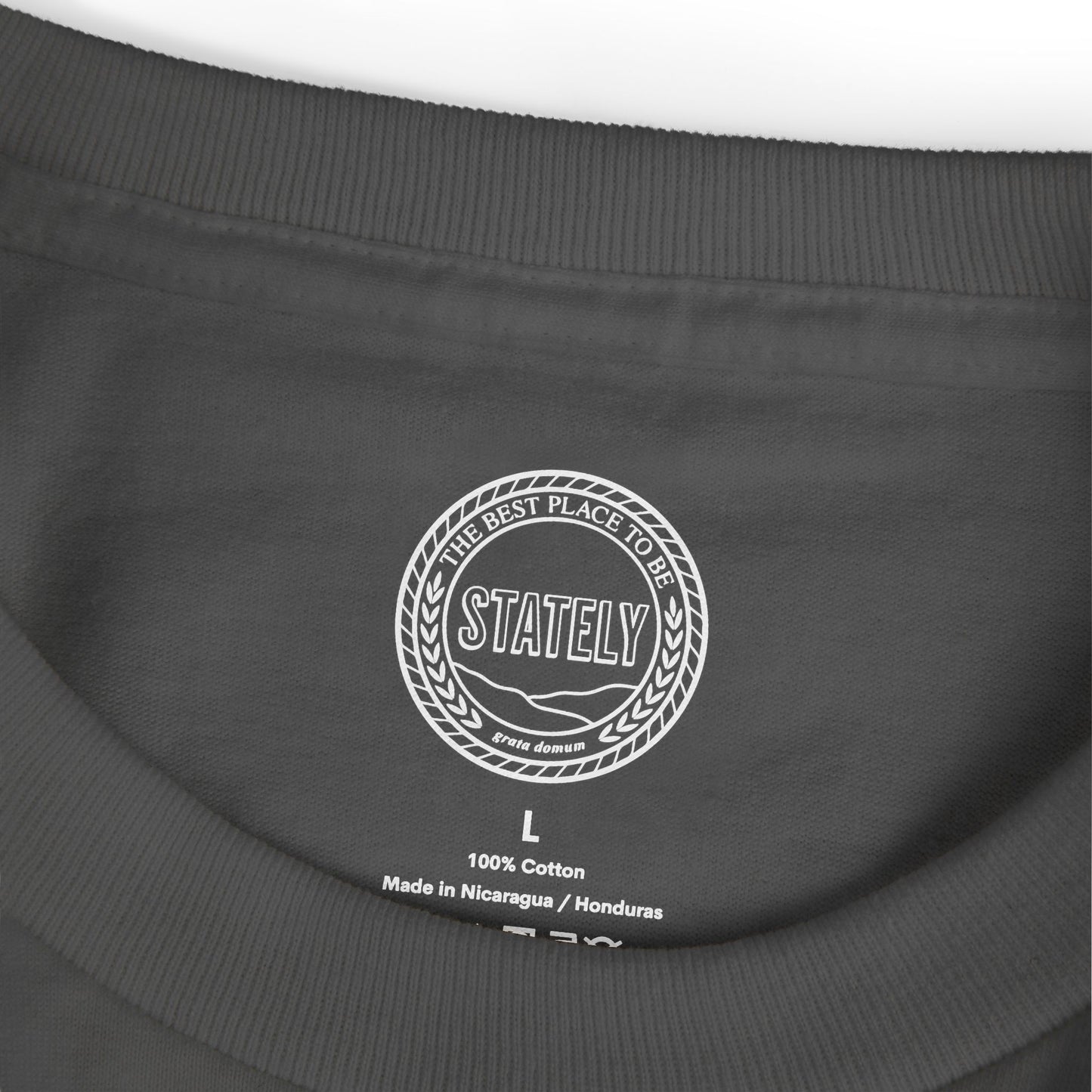 NE Arch Classic Tee